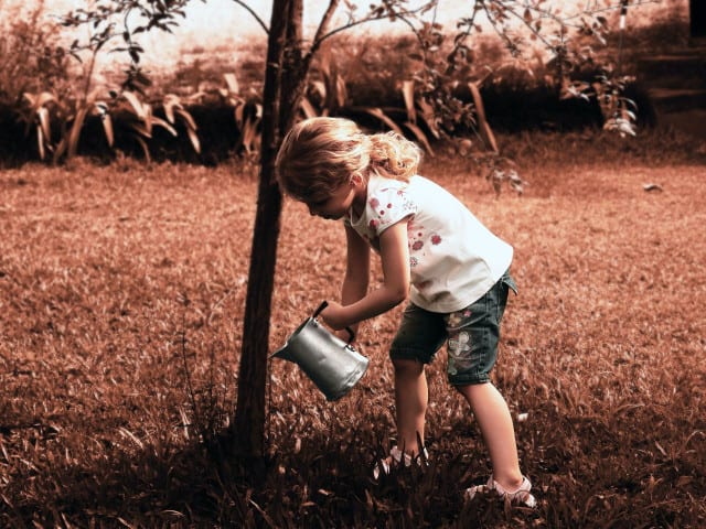 Nurture your dreams - jacqx.com